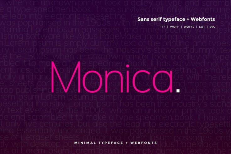 View Information about Monica Modern Clean Font
