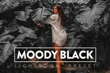 25+ Best Moody Lightroom Presets for Photographers