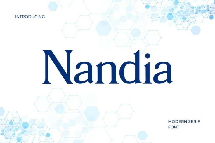 View Information about Nandia Modern Serif Font