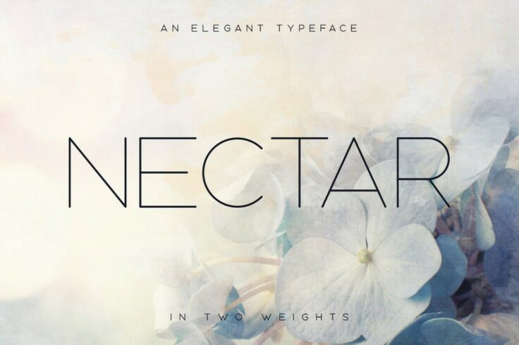 View Information about Nectar Elegant Thin Font