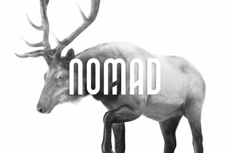 View Information about NOMAD Elegant Logo Font