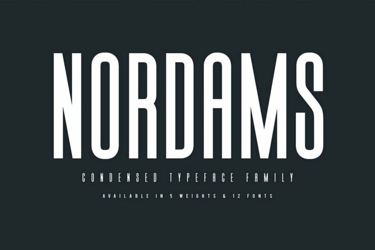View Information about Nordams Narrow Font