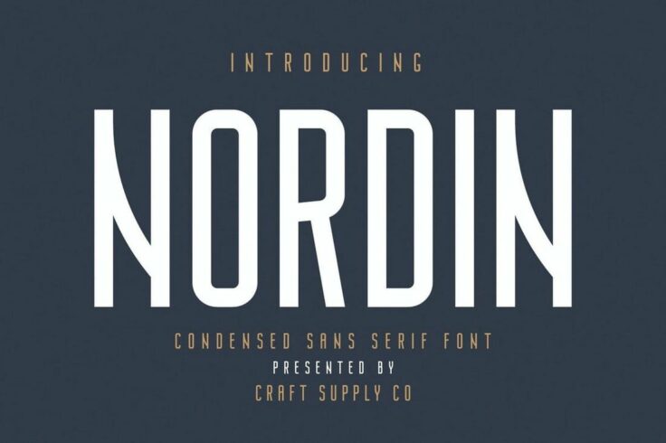 View Information about Nordin Condensed Sans Serif Font