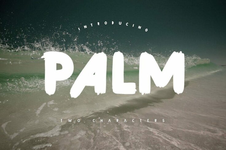 View Information about Palm Brush Font