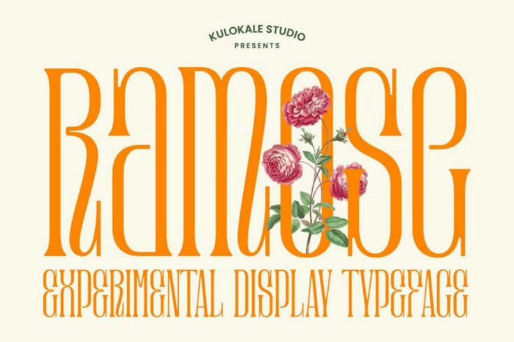 View Information about Ramose Experimental Classic Narrow Serif Font