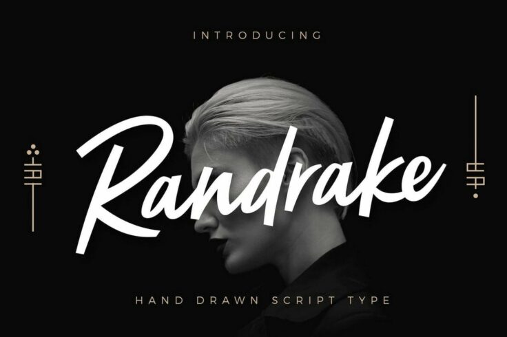 View Information about Randrake Modern Script Logo Font