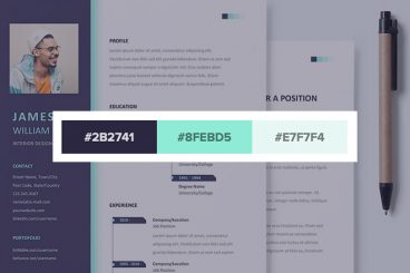 30+ Stylish Resume Color Schemes for 2024