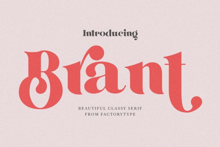 View Information about Brant Serif Font