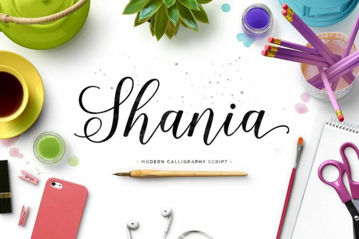 View Information about Shania Script Font