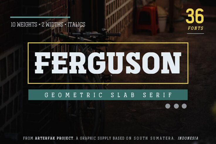 View Information about Ferguson Slab Serif Font Family
