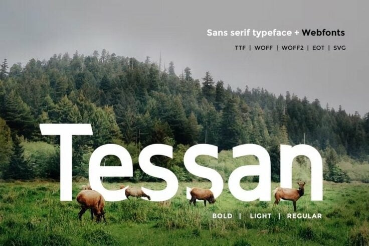 View Information about Tessan Sans Modern Clean Font