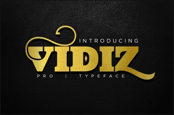 View Information about VIDIZ PRO Typeface