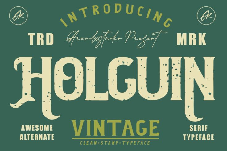 View Information about Holguin Vintage Font