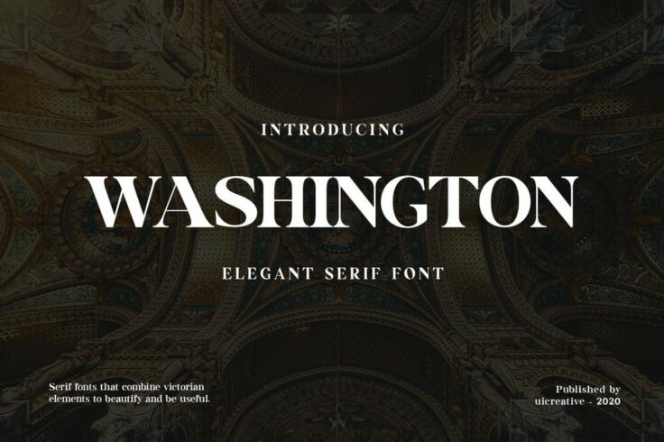 View Information about Washington Display Serif Font