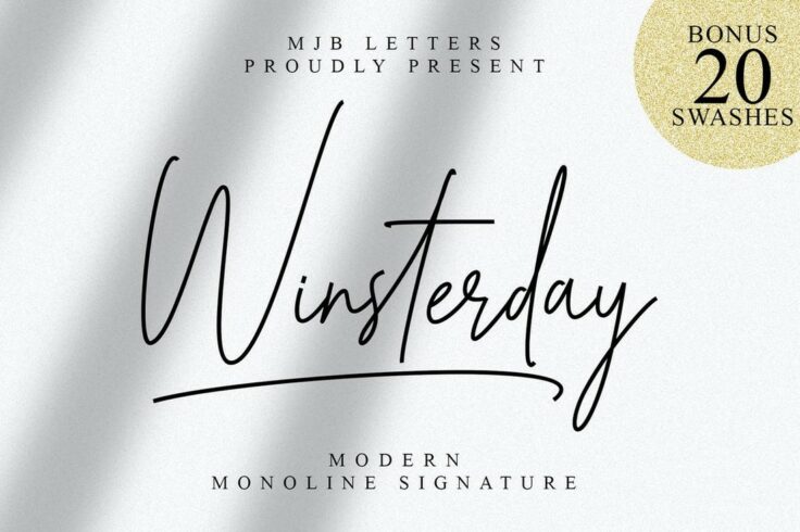View Information about Winsterday Thin Cursive Font