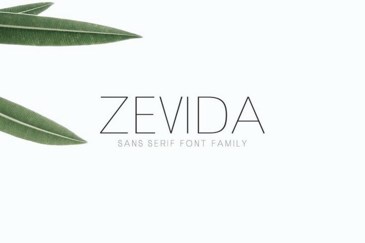 View Information about Zevida Thin Sans Serif Font Family